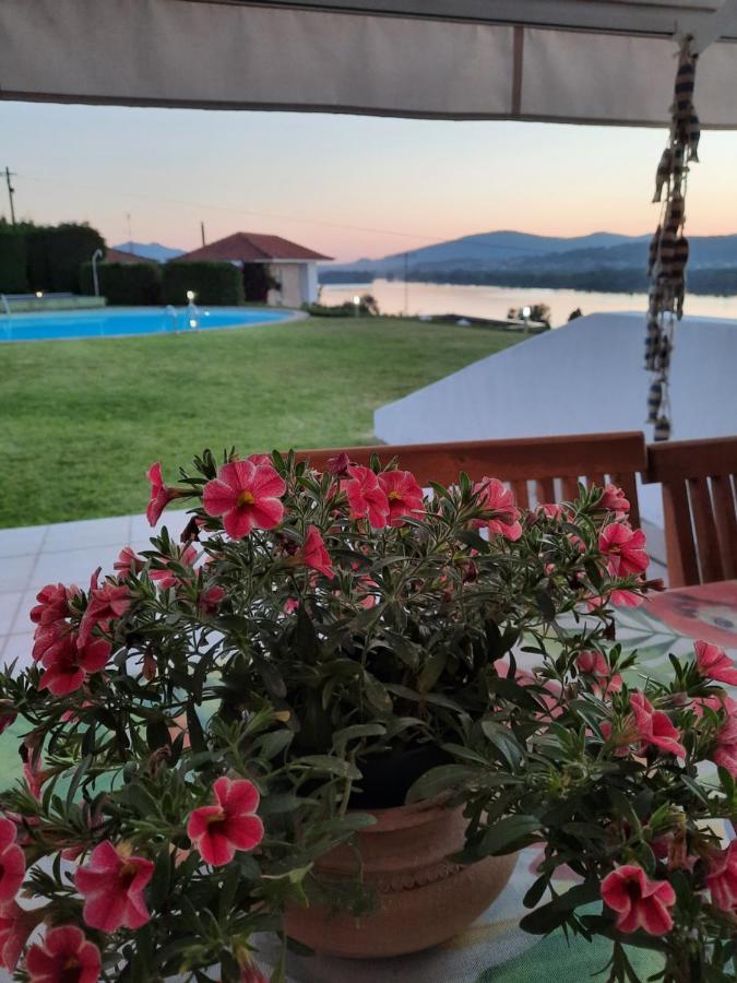 River-Side Villa Vila Nova de Cerveira Εξωτερικό φωτογραφία